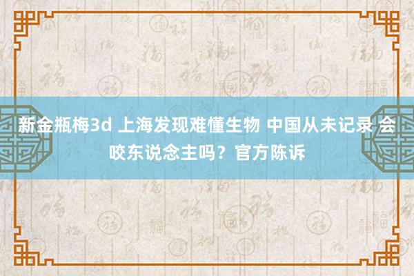 新金瓶梅3d 上海发现难懂生物 中国从未记录 会咬东说念主吗？官方陈诉