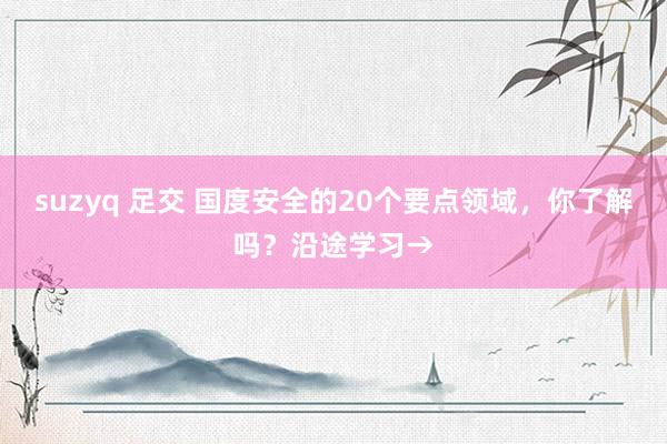 suzyq 足交 国度安全的20个要点领域，你了解吗？沿途学习→