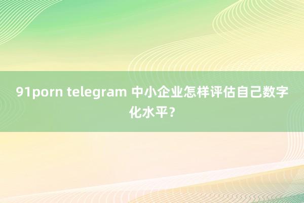 91porn telegram 中小企业怎样评估自己数字化水平？