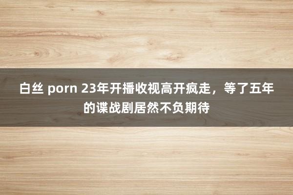 白丝 porn 23年开播收视高开疯走，等了五年的谍战剧居然不负期待