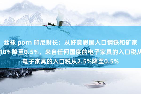 丝袜 porn 印尼财长：从好意思国入口钢铁和矿家具的关税从5%-10%降至0.5%，来自任何国度的电子家具的入口税从2.5%降至0.5%