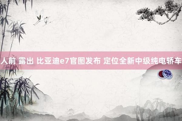 人前 露出 比亚迪e7官图发布 定位全新中级纯电轿车