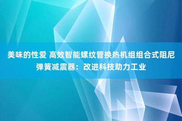 美味的性爱 高效智能螺纹管换热机组组合式阻尼弹簧减震器：改进科技助力工业