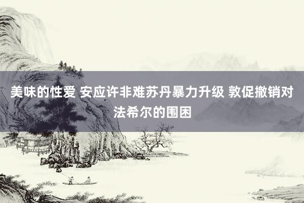 美味的性爱 安应许非难苏丹暴力升级 敦促撤销对法希尔的围困