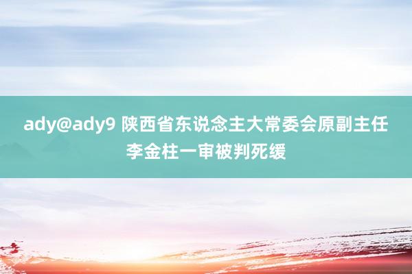 ady@ady9 陕西省东说念主大常委会原副主任李金柱一审被判死缓