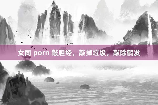 女同 porn 敲胆经，敲掉垃圾，敲除鹤发
