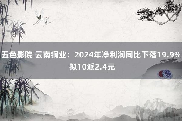五色影院 云南铜业：2024年净利润同比下落19.9% 拟10派2.4元