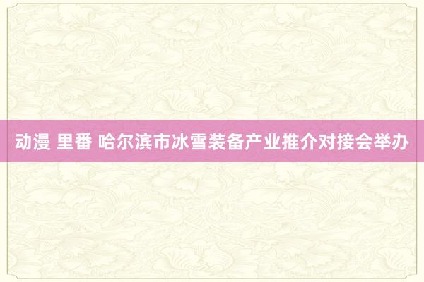 动漫 里番 哈尔滨市冰雪装备产业推介对接会举办
